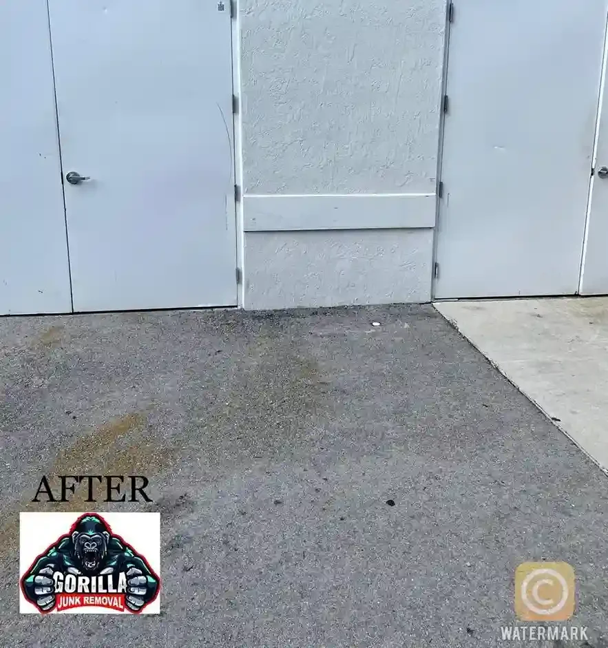 Clean, empty concrete area outside commercial doors after junk removal service cleared away bulky furniture and debris