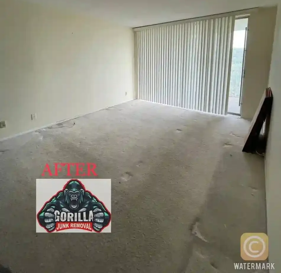 Clean, empty concrete area outside commercial doors after junk removal service cleared away bulky furniture and debris