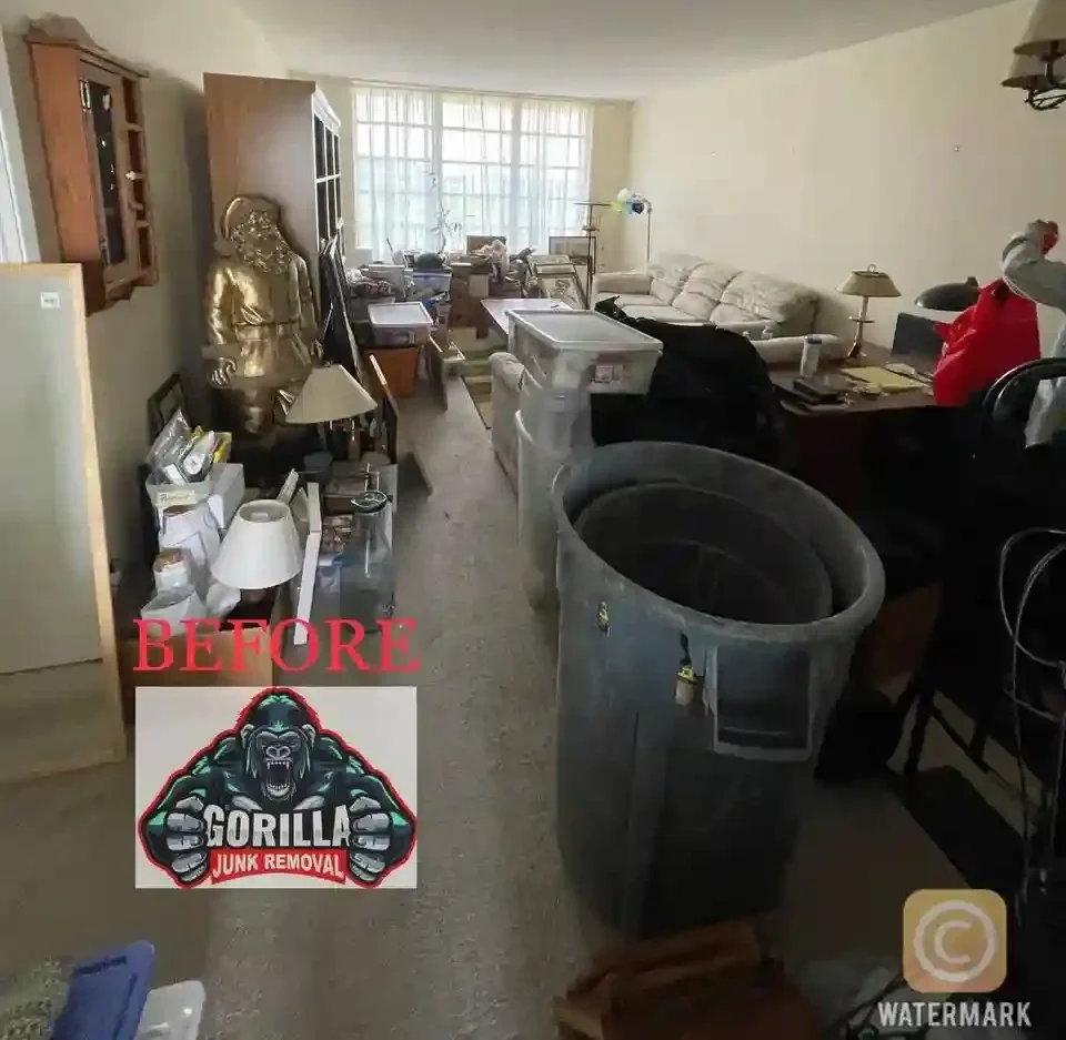 Before photo of a cluttered living room packed with furniture, boxes, and junk - ready for Gorilla Junk Removal to clear it out in Florida.